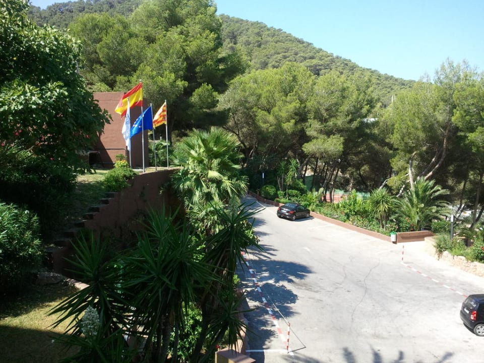 Blick vom Balkon auf die Einfahrt Palladium Hotel Cala LLonga - Adults only