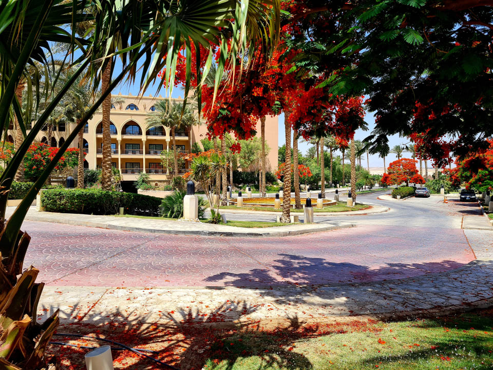 Außenansicht Grand Makadi