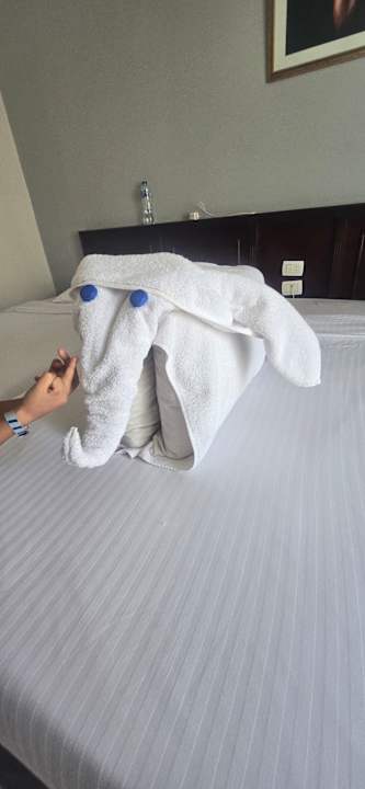 Zimmer Riviera Aqua Park Resort