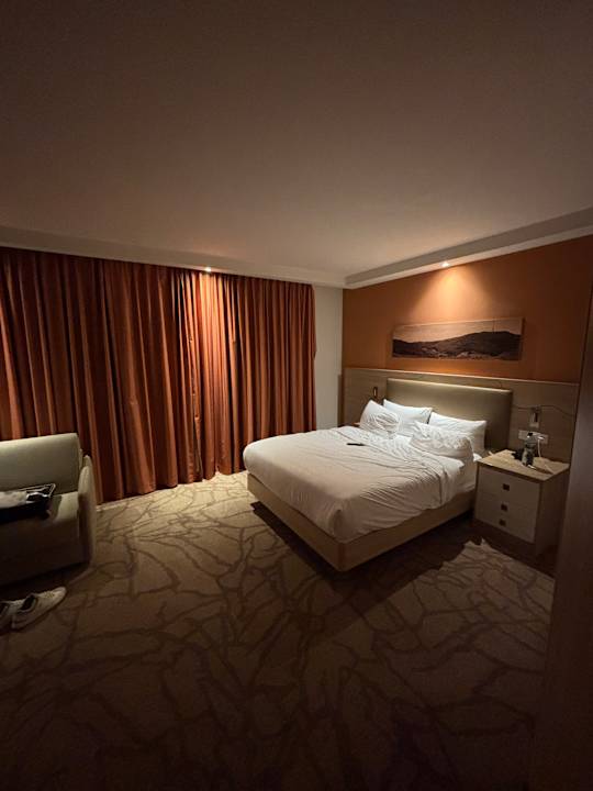 Zimmer Hampton By Hilton Freiburg