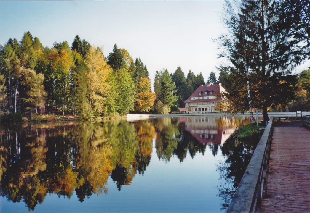 Außenansicht Hotel Waldsee