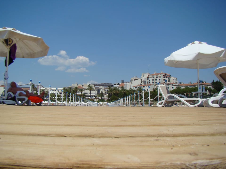 Steg PALOMA Perissia