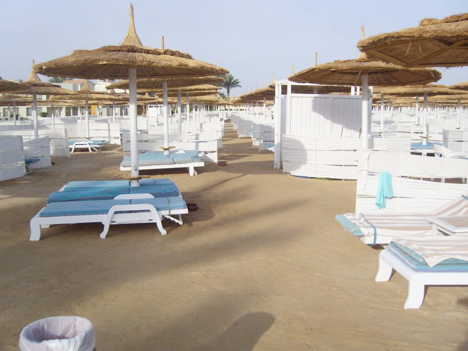 Sauberer Strand Pickalbatros Dana Beach Resort - Hurghada
