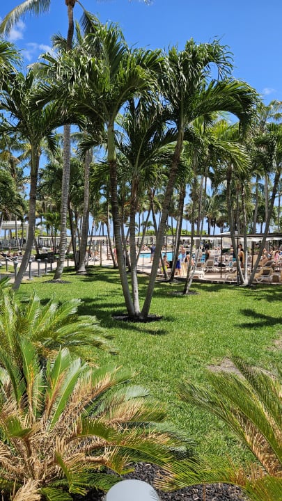 Gartenanlage Hotel Riu Plaza Miami Beach
