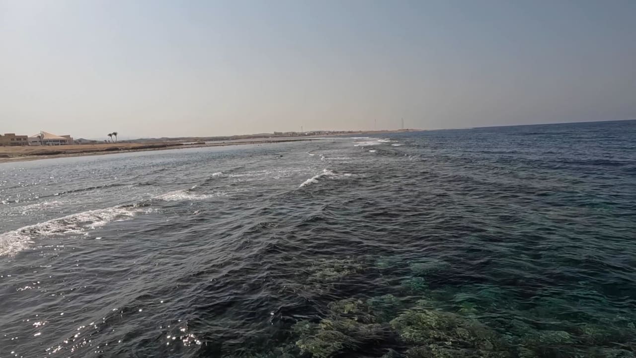 Ausblick Malikia Resort Abu Dabbab