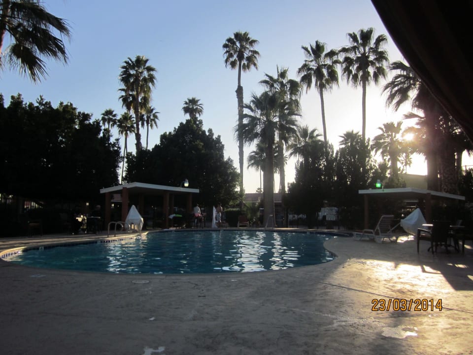 Poolbereich Best Western Sahara Motel