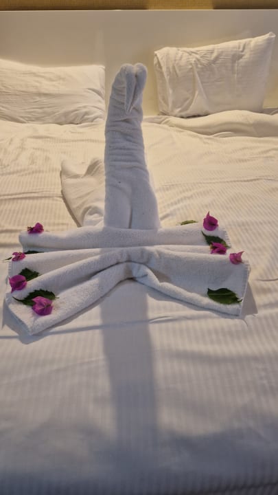 Zimmer Seaden Sea World Resort & Spa