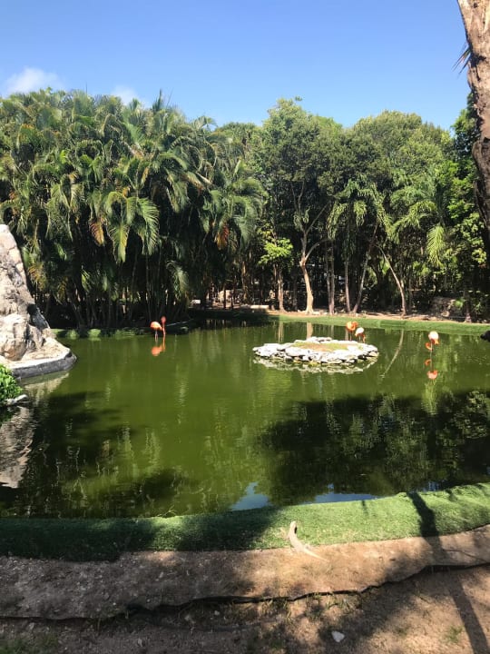Gartenanlage TRS Yucatan Hotel - Adults only