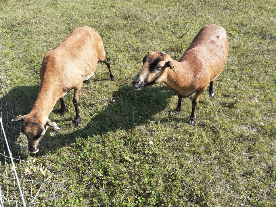 Gartenanlage Hotel VILA VITA Pannonia