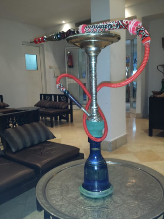 Shisha bar im hotel sehr gemütlich und günstig 5 D Hotel Thalassa Mahdia