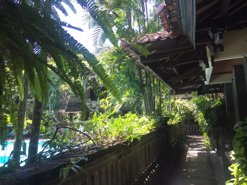 Pool Hotel Puri Bambu