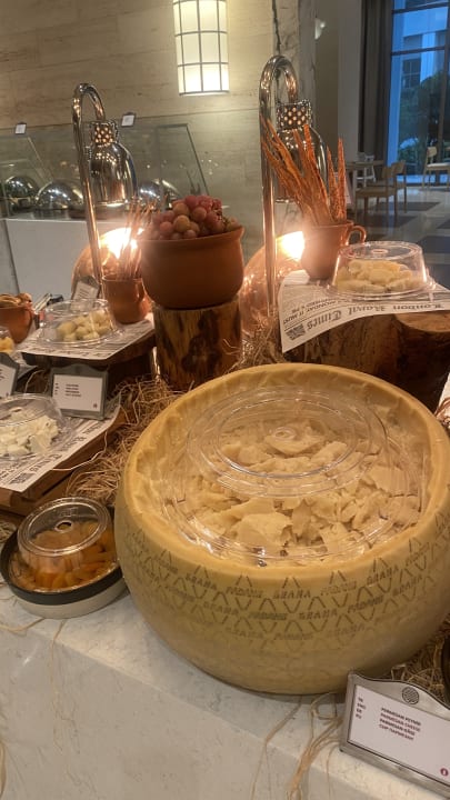 Gastro Acanthus Cennet Barut Collection