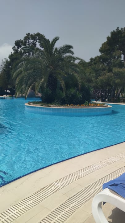 Pool Blue Waters Club