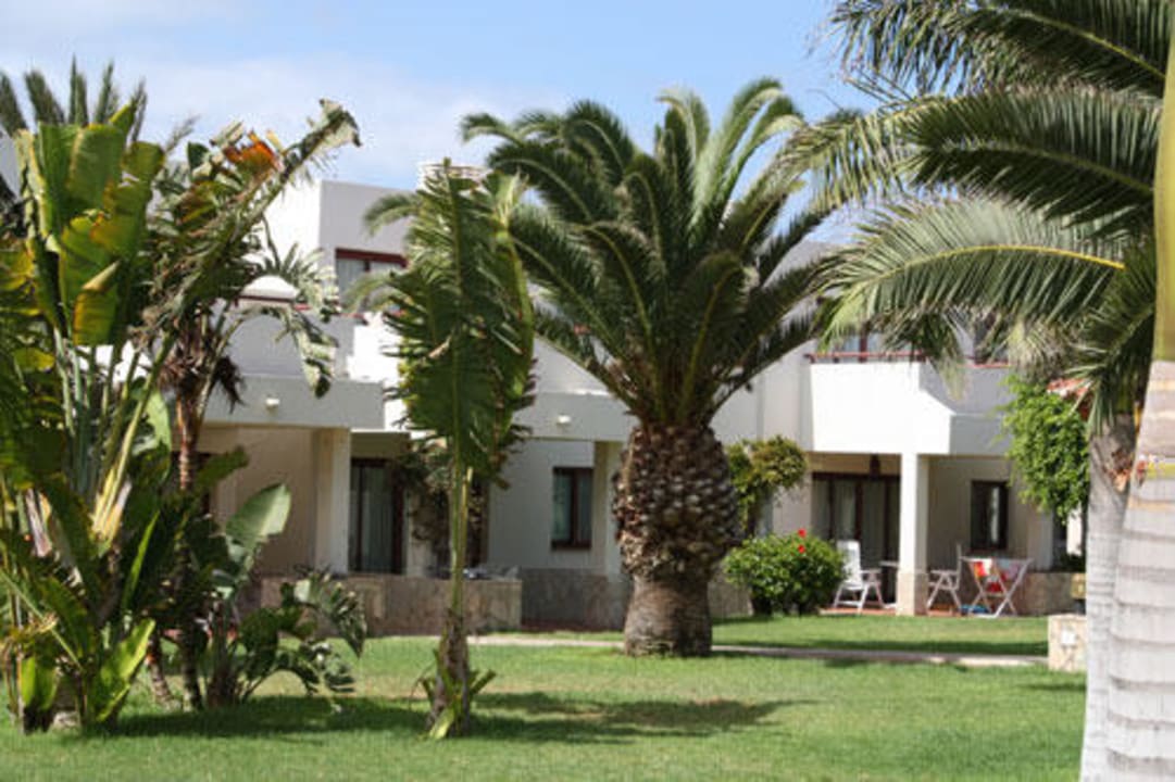 Gartenanlage Alua Suites Fuerteventura
