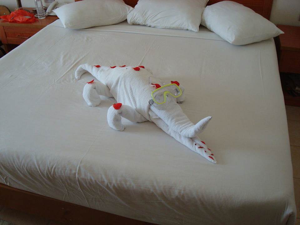 Schnappi war auch im Urlaub Riviera Aqua Park Resort