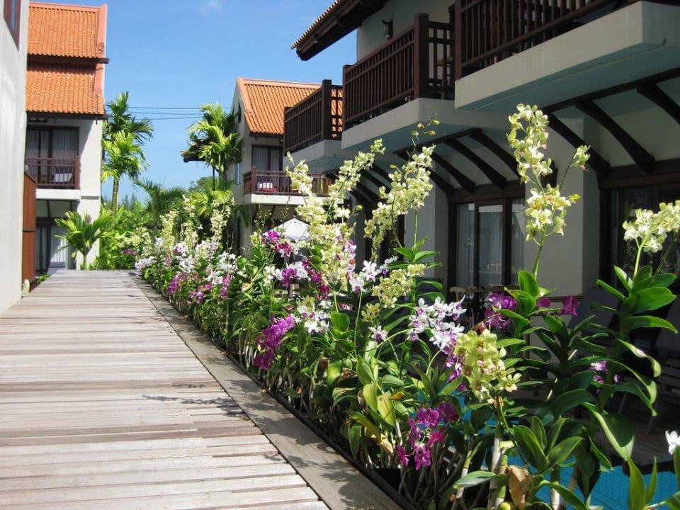 Steg entlang der Pools Khaolak Oriental Resort - Adults only