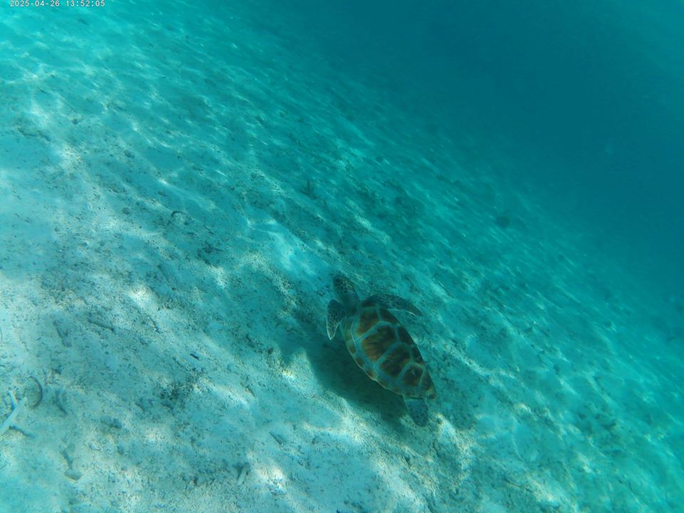 Sport & Freizeit Jawakara Islands Maldives