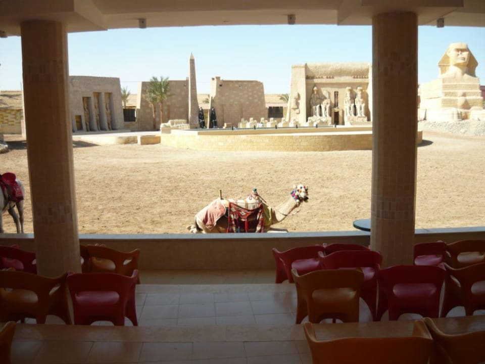 Kamelreiten Pickalbatros Alf Leila Wa Leila Resort - Neverland Hurghada