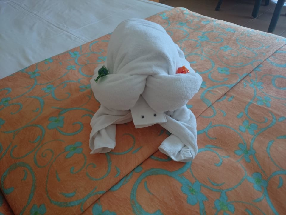 Schildkröte von der Putzfrau gemacht  Iberostar Selection Fuerteventura Palace