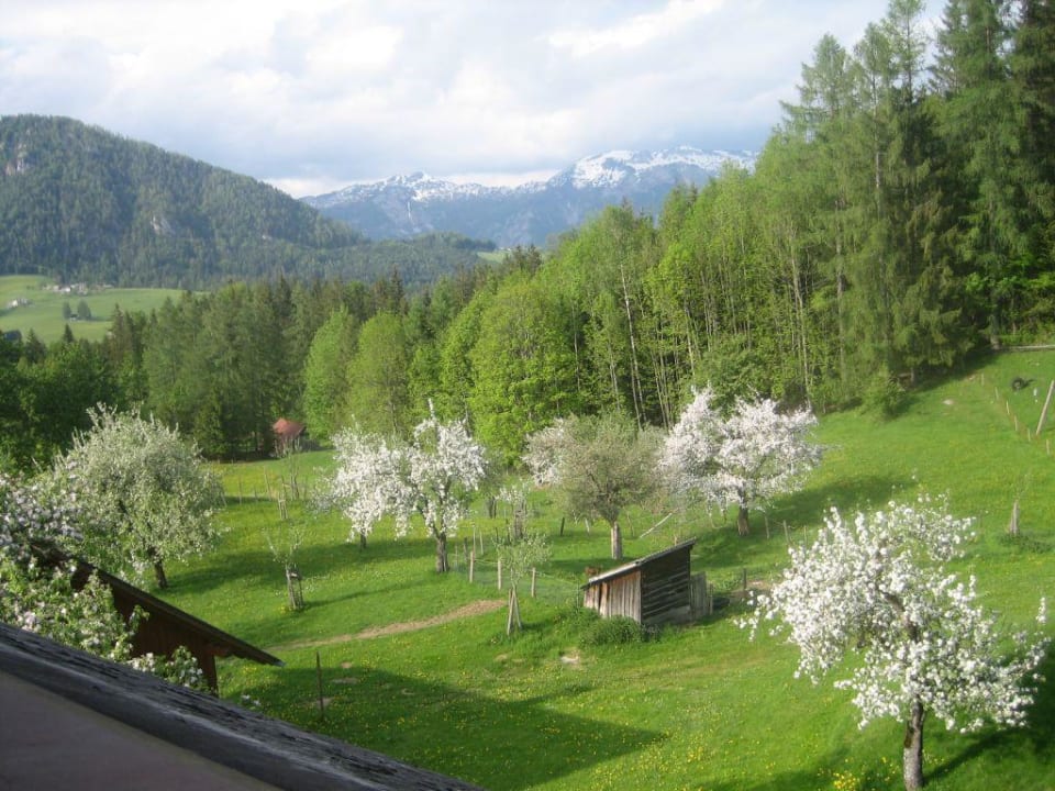 Tamberg-Aussicht Familienbauernhof Grossgrub
