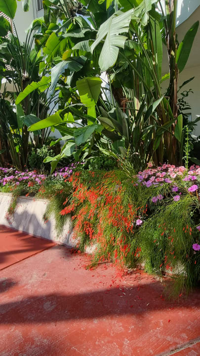 Gartenanlage TUI MAGIC LIFE Beldibi +16