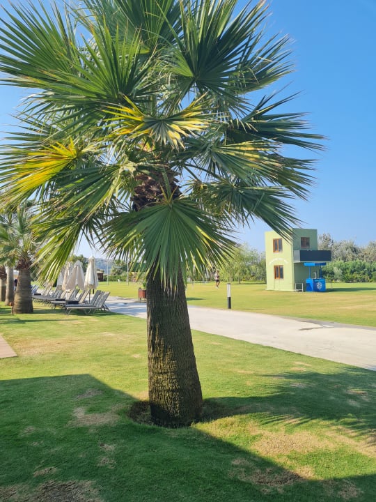 Gartenanlage Korumar Ephesus Beach & Spa Resort