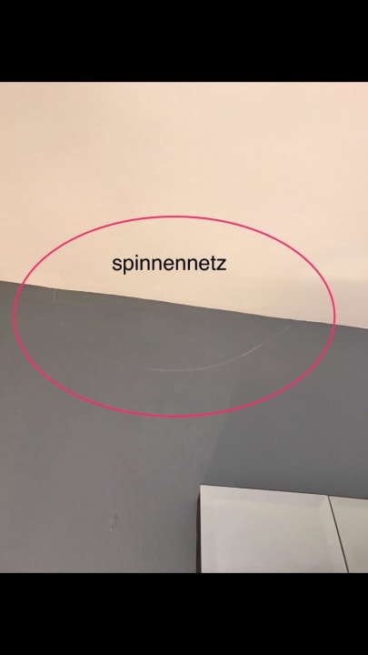 Spinnengewebe überm Bett Meliá Caribe Beach Resort-All Inclusive