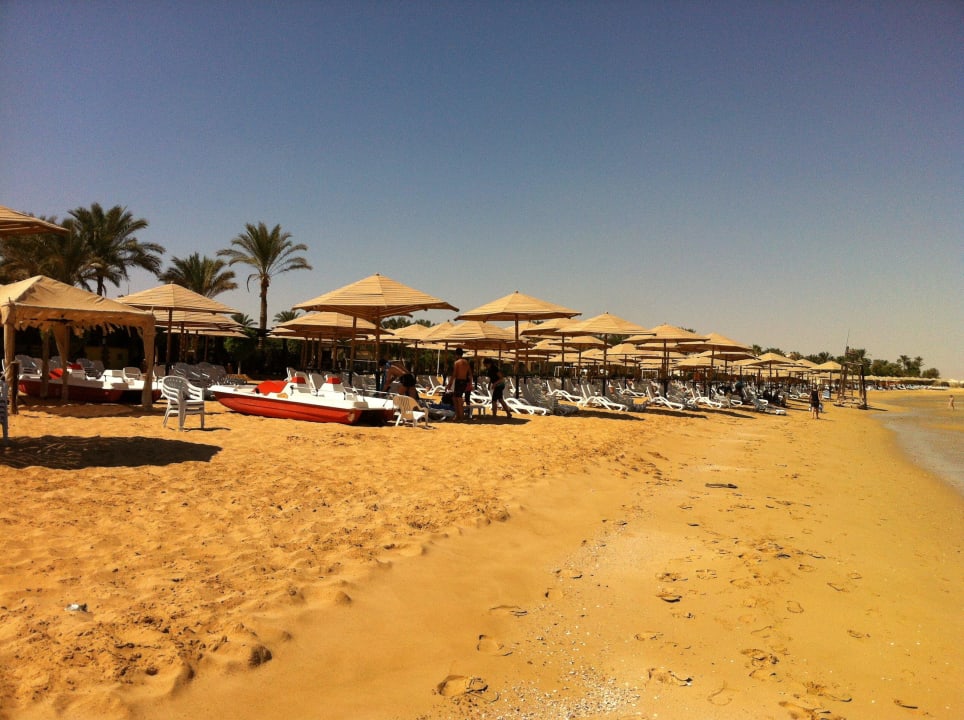 Momentan Ebbe Hotel Sea Club Stella Di Mare