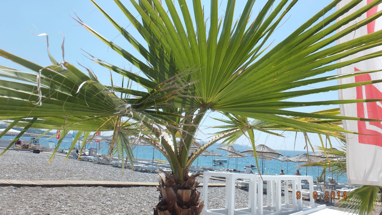 Alles roger? Hotel SU & Aqualand