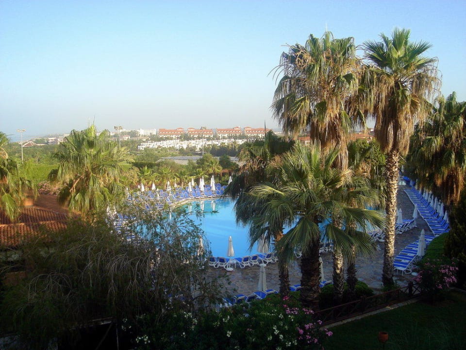 Ausblick von unserem Zimmer auf den Pool und Meer Alba Resort Hotel