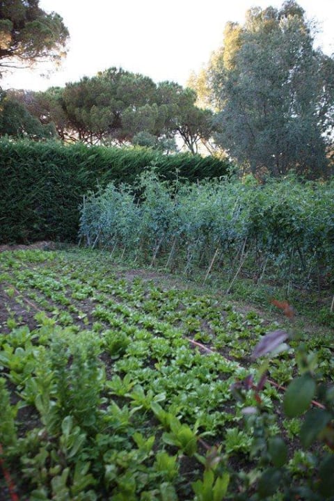 Potager Hotel La Ferme D'Augustin