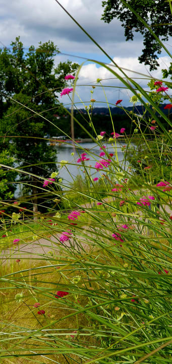 Gartenanlage Seezeitlodge Hotel & Spa