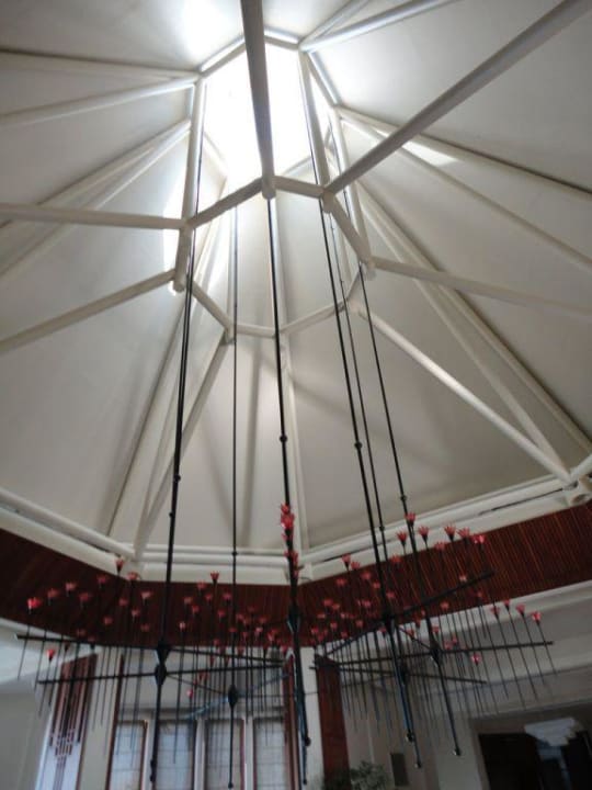 Sentido PALOMA Perissia