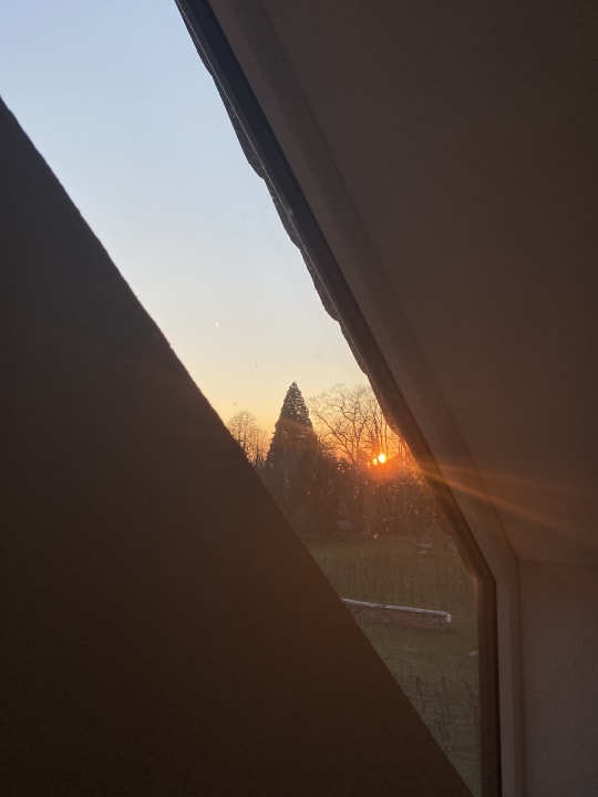 Ausblick Hotel Traube am See