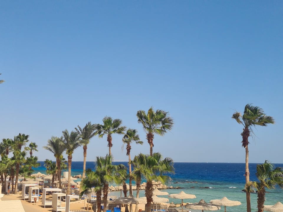 Strand Pickalbatros Citadel Resort