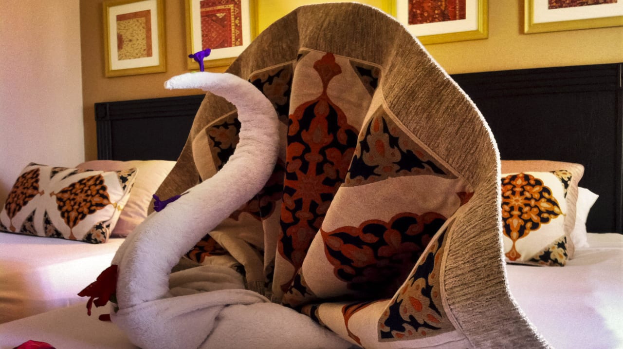 Immer wieder gern  Steigenberger Coraya Beach - Adults only