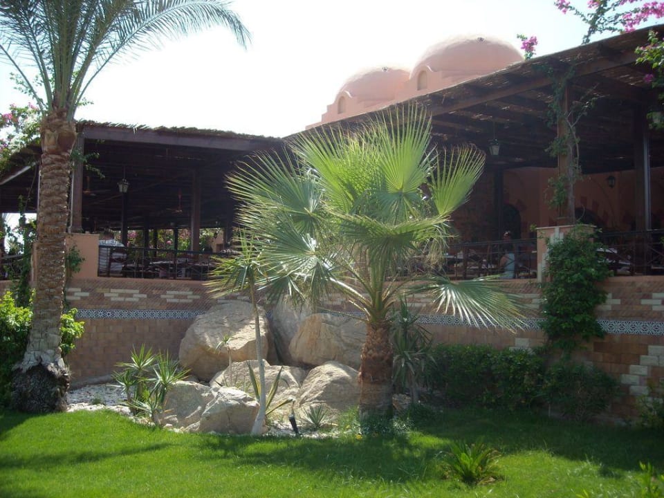 Makadi Oasis Jaz Makadi Oasis Resort
