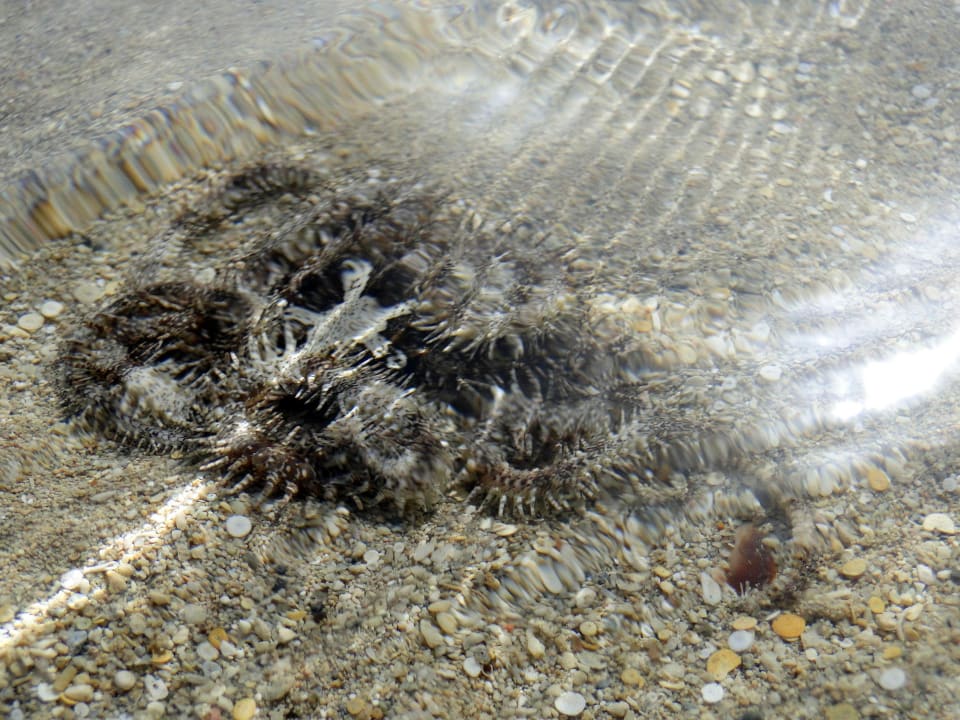 Uwazac pod nogi  Titanic Beach Spa & Aqua Park