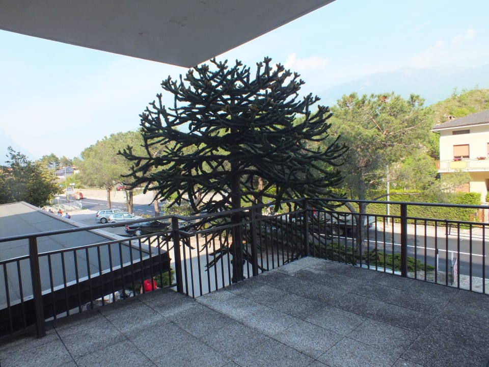 Hotel Daino Hotel Daino