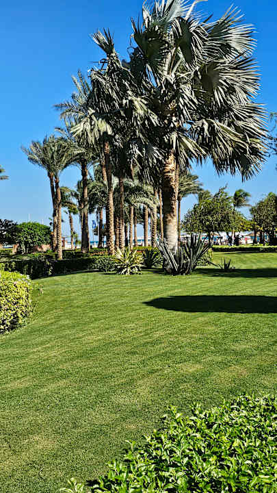 Pool Steigenberger ALDAU Beach Hotel
