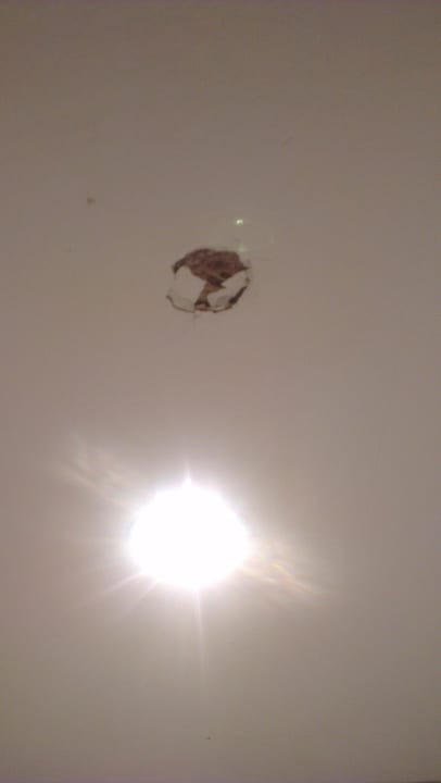 Decke The Club Hammamet