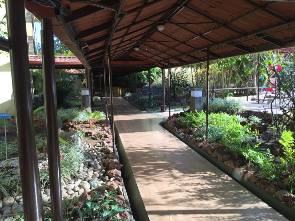 Weg durch Gargen Hotel Country Inn & Suites By Carlson, San Jose