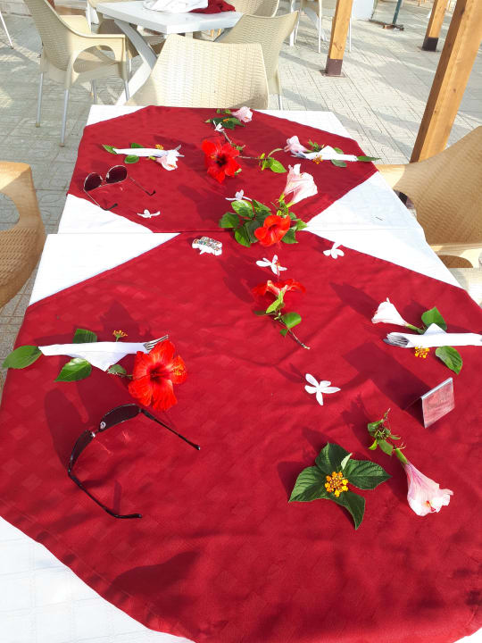 Gastro Hotel Neptunia Skanes