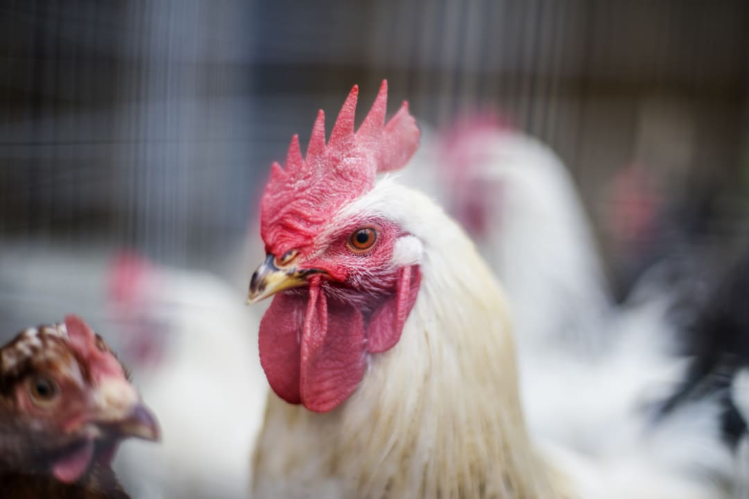 Sonstiges Familienhotel Ebbinghof