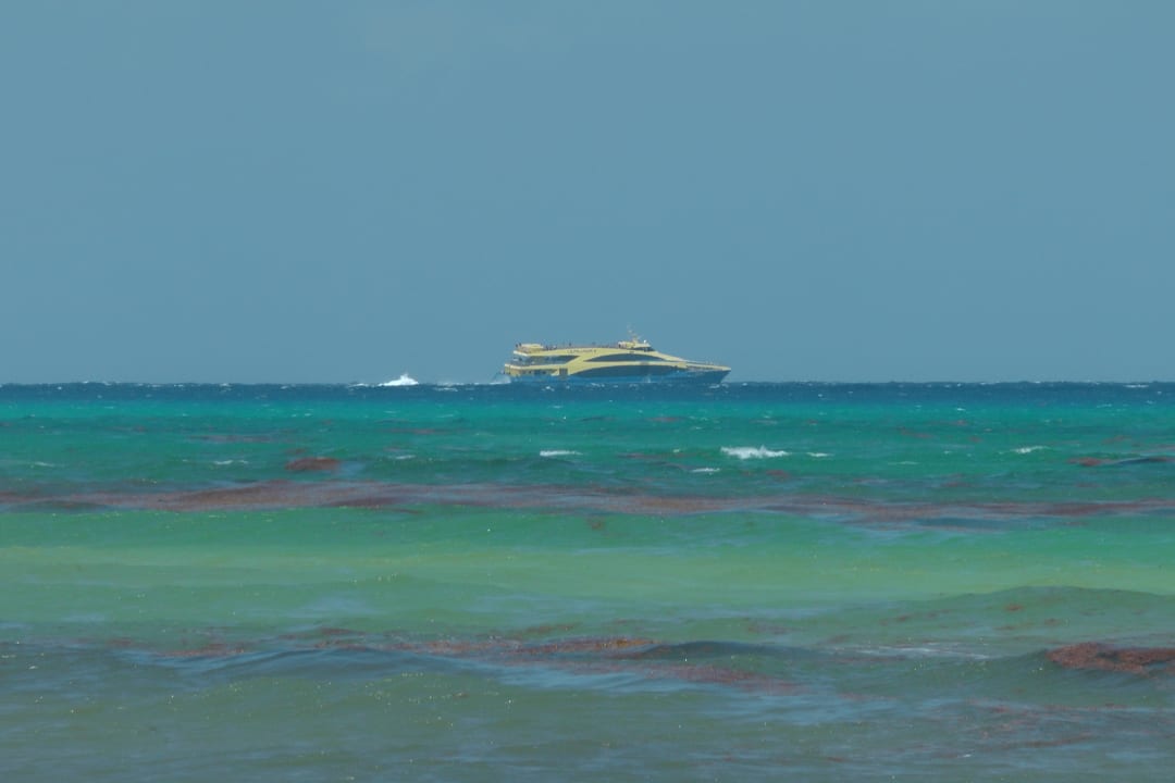 Ausblick Iberostar Waves Tucan