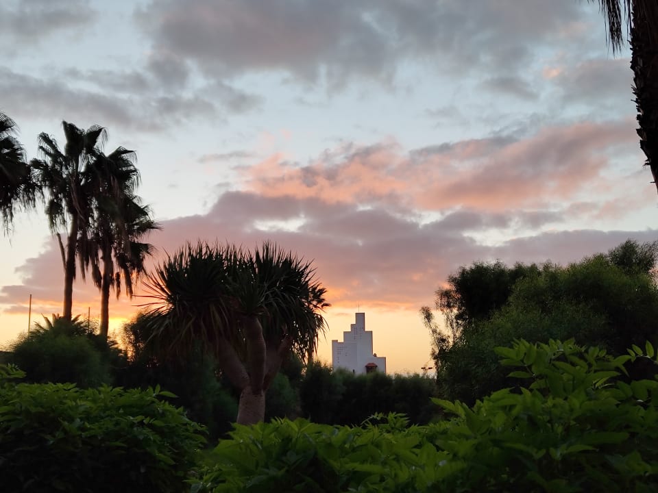 Ausblick allsun App.-Hotel Esquinzo Beach