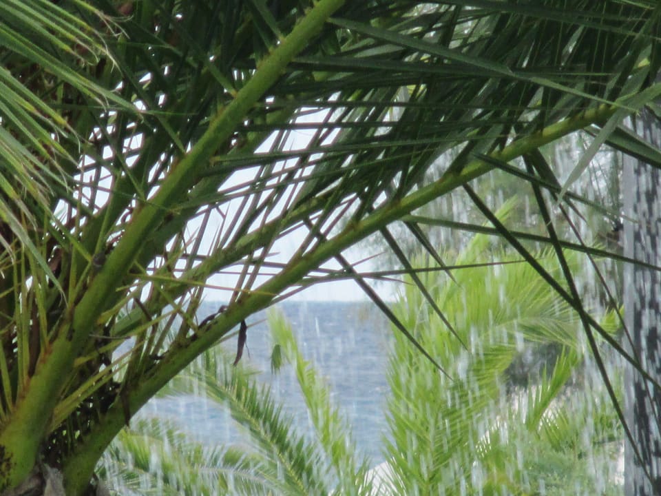 Blick zum Meer alltoura Club Hotel Poseidon Palace