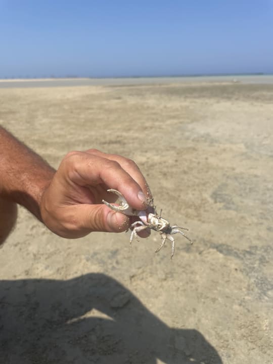 Strand Casa Mare Resort