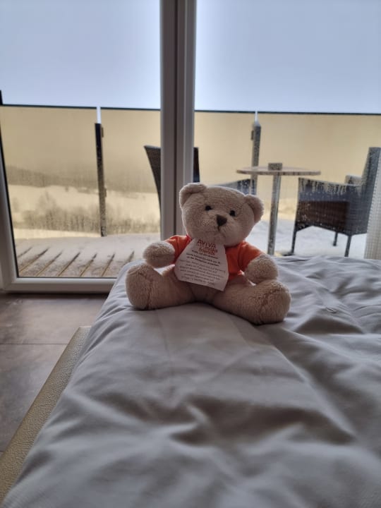 Zimmer AVIVA make friends