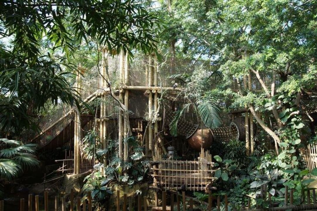 Jungle Dome Center Parcs Het Heijderbos